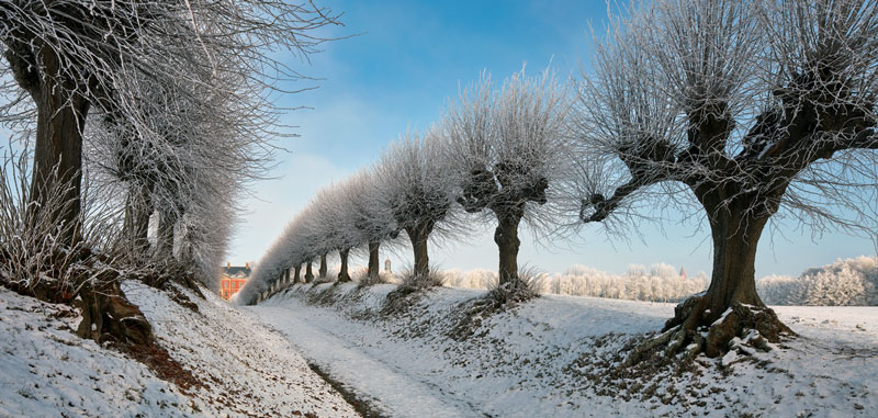 Kalender-Panorama