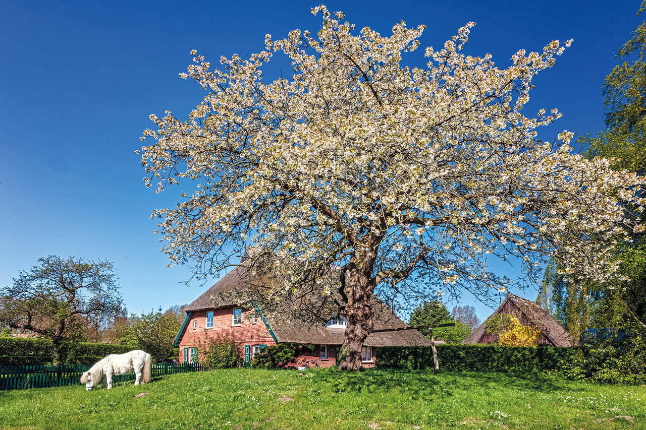 Kalender-Heimat